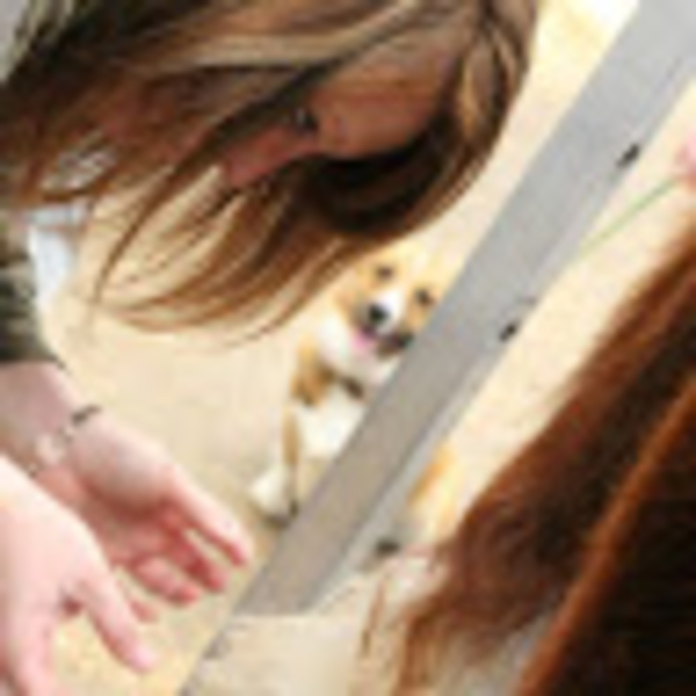 Meet your Posher, Katie
